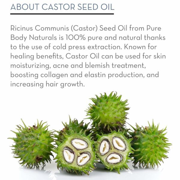 Pure Body Naturals Castor Oil Eyelashes - Image 4